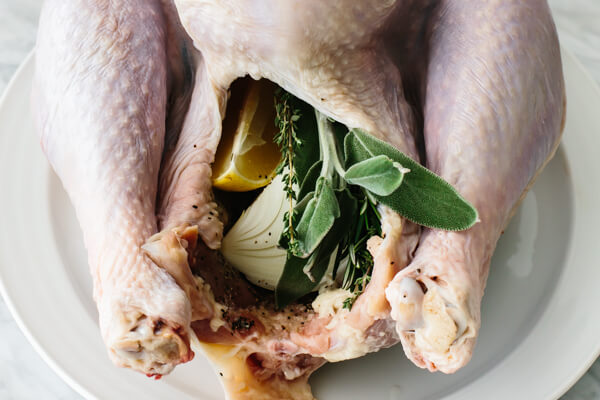 Stuffing a Thanksgiving turkey with onions, herbs, and lemon