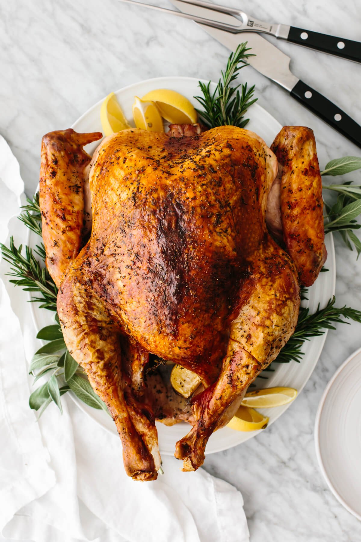 Roasted Thanksgiving turkey on a plate.
